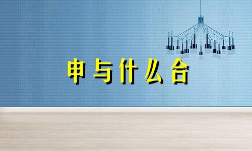 申与什么合 与什么冲 申与什么合金