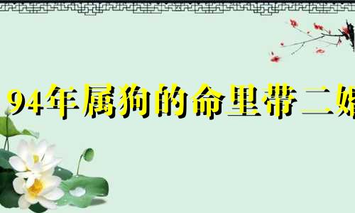 94年属狗的命里带二婚 94年狗什么时候发大财