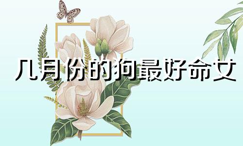 几月份的狗最好命女 几月的狗比较好命