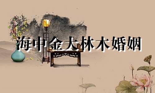 海中金大林木婚姻 海中金命的男人和大林木的女人