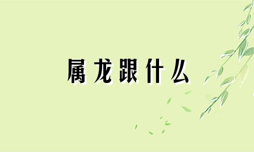属龙跟什么 属龙和什么冲突