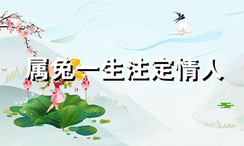属兔一生注定情人 生肖兔的桃花劫是哪一年