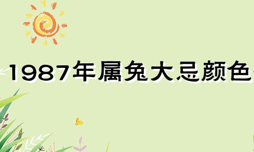 1987年属兔大忌颜色2025 属兔2025年最旺颜色
