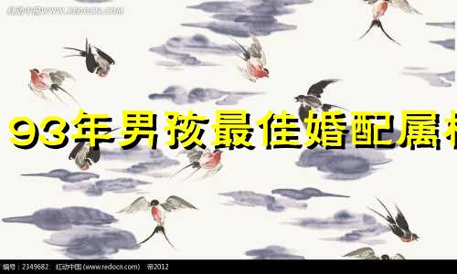 93年男孩最佳婚配属相 鸡最不合适的属相
