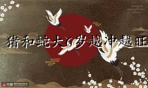 猪和蛇大6岁越冲越旺 猪和蛇在一起谁带财