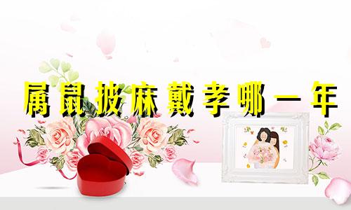 属鼠披麻戴孝哪一年 高人预言72属鼠2025