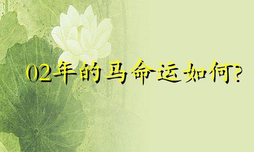 02年的马命运如何? 02年属马一生的大劫