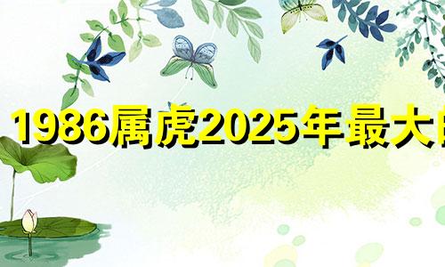 1986属虎2025年最大的劫 属虎男2025年最大的劫