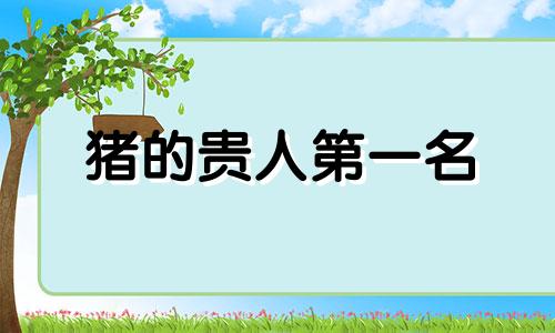 猪的贵人第一名 龙的贵人第一名