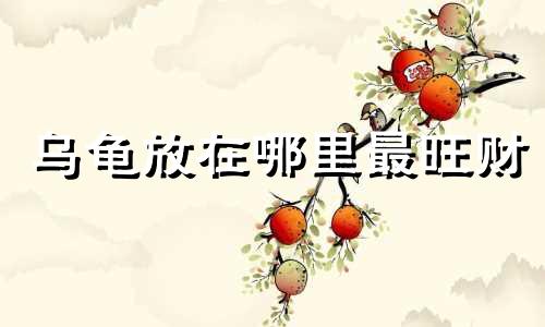 乌龟放在哪里最旺财 乌龟最忌讳三个地方
