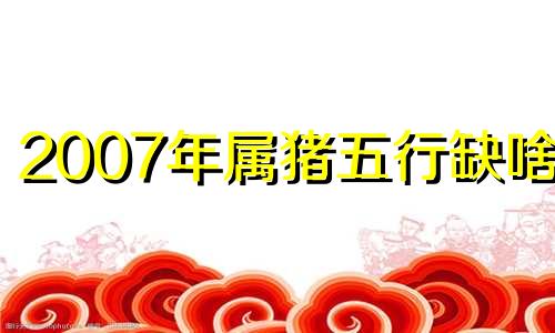 2007年属猪五行缺啥命 2007年为什么叫金猪
