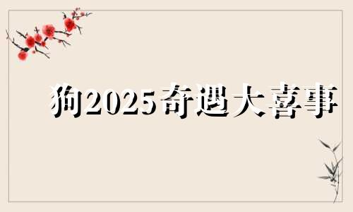 狗2025奇遇大喜事