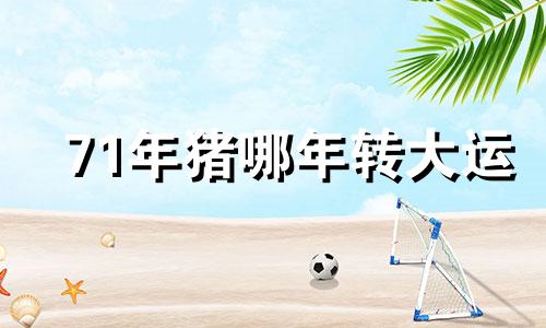 71年猪哪年转大运 2025年属猪女性三喜临门