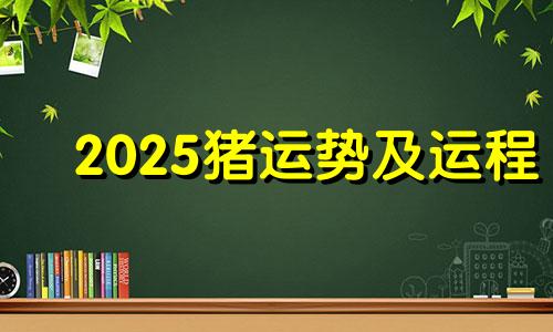 2025猪运势及运程 