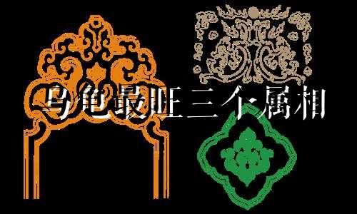 乌龟最旺三个属相 养的龟死了预示主人