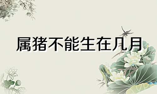 属猪不能生在几月 猪不能生什么生肖宝宝最好