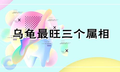 乌龟最旺三个属相 三种人坚决不能养龟