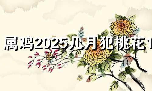 属鸡2025几月犯桃花1981 属鸡人2025烂桃花是谁