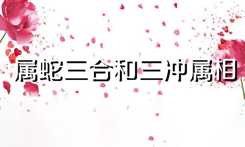 属蛇三合和三冲属相 蛇年与哪个属相的相配