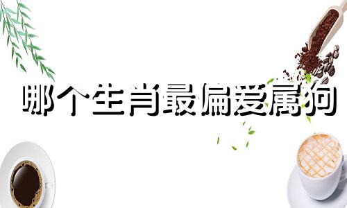 哪个生肖最偏爱属狗