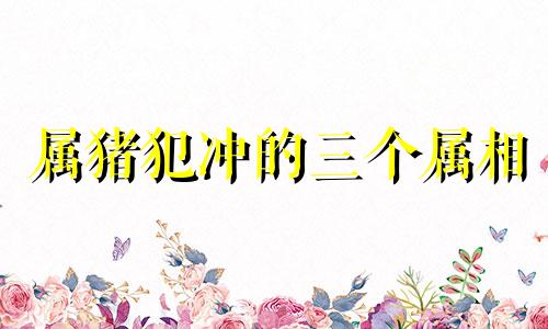 属猪犯冲的三个属相 属鸡犯冲的三个属相生相克