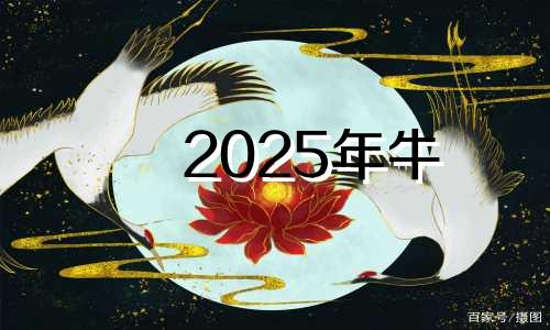 2025年牛