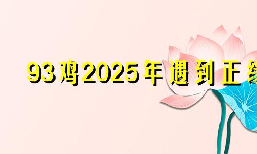 93鸡2025年遇到正缘 属鸡的姻缘何时到
