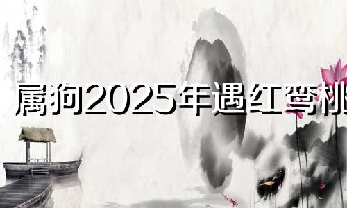 属狗2025年遇红鸾桃花 生肖狗2025两喜缠身
