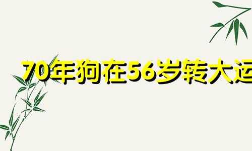 70年狗在56岁转大运 属狗一生最克3个人