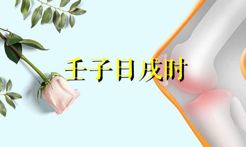 壬子日戌时 壬戌日子时出生