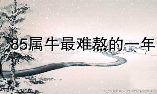 85属牛最难熬的一年 85属牛女的正缘和孽缘