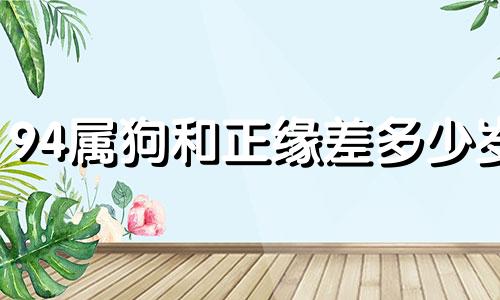 94属狗和正缘差多少岁 94属狗女什么时候能够脱单