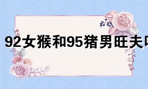92女猴和95猪男旺夫吗 95年猪和92年猴真的不能在一起吗