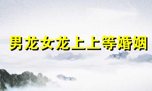 男龙女龙上上等婚姻 龙男不能配什么女