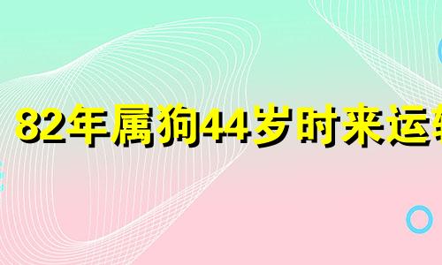 82年属狗44岁时来运转 属狗2025年躲不过的灾
