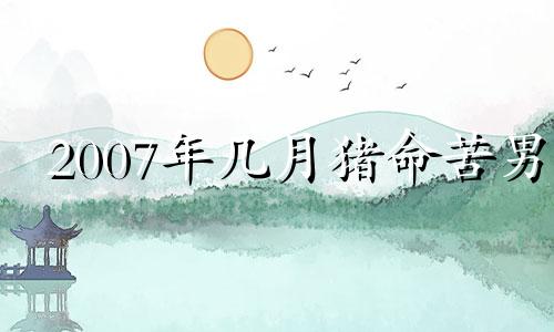 2007年几月猪命苦男 07年猪25年高考顺利吗