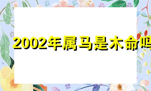 2002年属马是木命吗 2002年水命是什么水