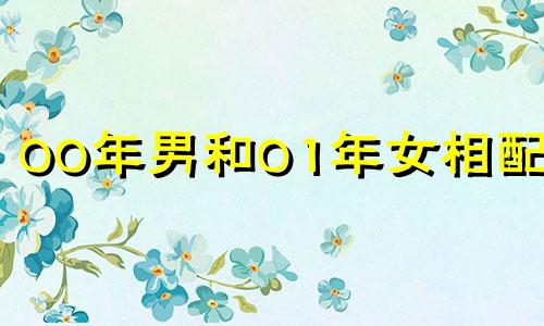 00年男和01年女相配吗 2001蛇男命中注定妻子