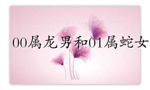 00属龙男和01属蛇女 00属龙女和01属蛇男相配吗