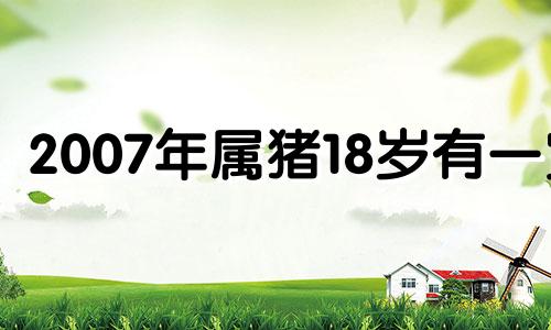 2007年属猪18岁有一灾 2007属猪一生学业运