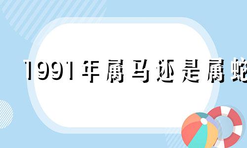 1991年属马还是属蛇 1990年属马一生三大劫难