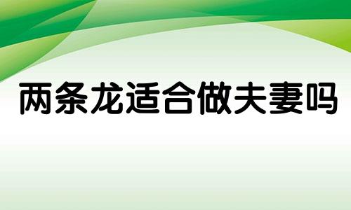 两条龙适合做夫妻吗 两个属龙的人结婚好不好