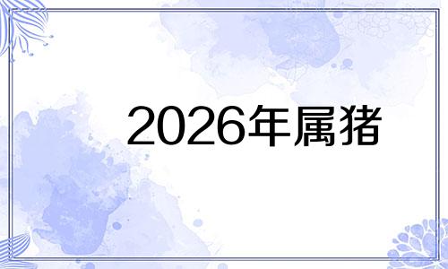 2026年属猪 2026年猪年运势