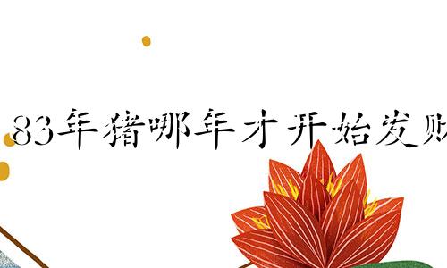 83年猪哪年才开始发财 属猪干什么一碰就发财