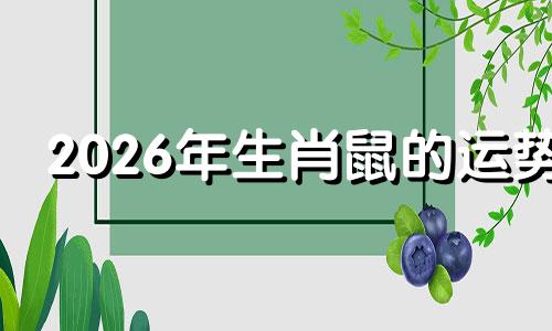 2026年生肖鼠的运势 2026属鼠的人一生中哪几年犯太岁