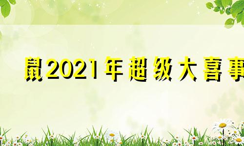 鼠2021年超级大喜事 生肖鼠2026年运势