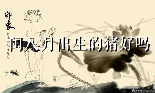 闰八月出生的猪好吗 闰八月出生的属猪的女人好不好