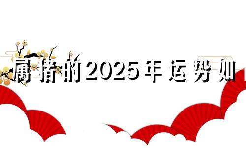 属猪的2025年运势如何 2022年属猪的学业运方向