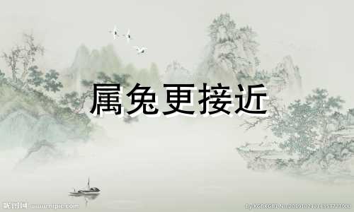 属兔更接近 属兔在亲缘上更接近哪种动物