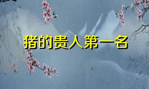 猪的贵人第一名 属猪人和什么属相合作利财